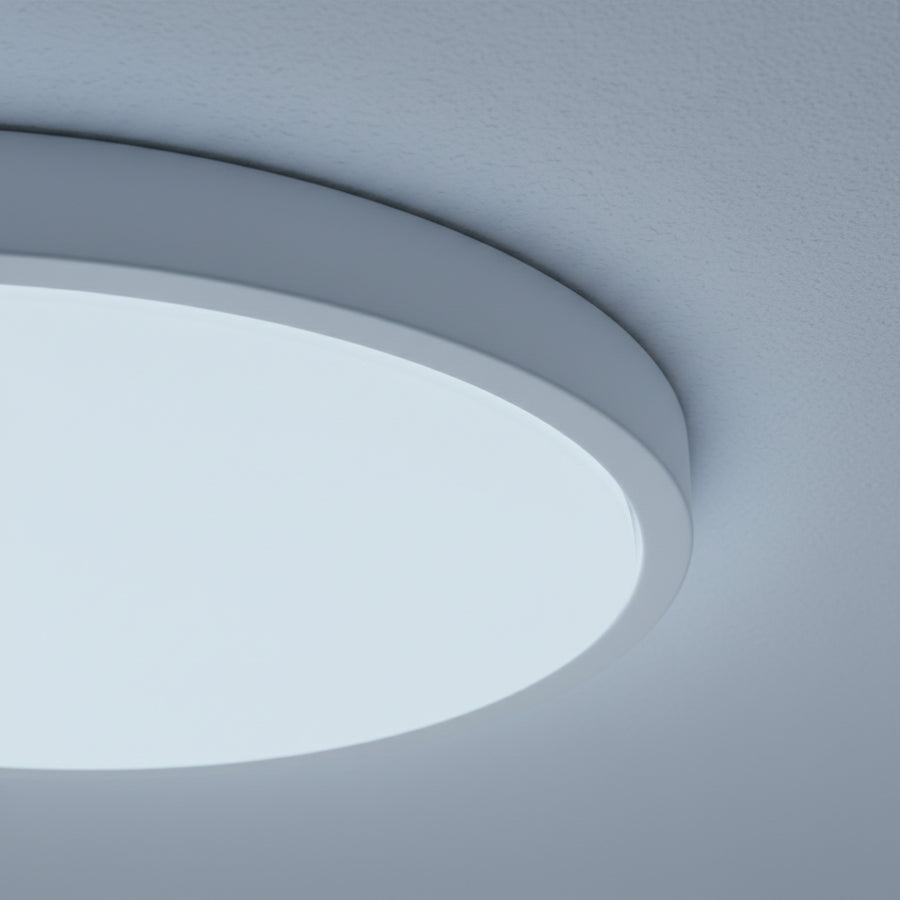 Plafonnier À LED Couleur Réglable — détail