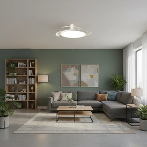 Luminaire Ventilateur Plafonnier : Confort 2-En-1 Astucieux