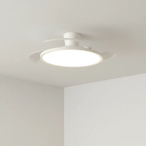 Luminaire Ventilateur Plafonnier : Confort 2-En-1 Astucieux
