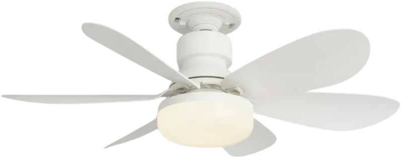 Plafonnier Ventilateur Vissable