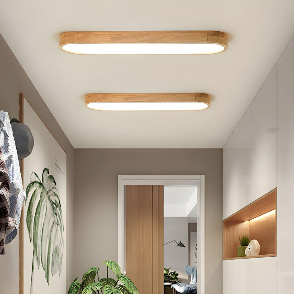Plafonnier Luminaire LED : Modernité Et Économies D'énergie