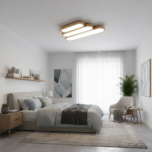 Plafonnier Luminaire LED : Modernité Et Économies D'énergie