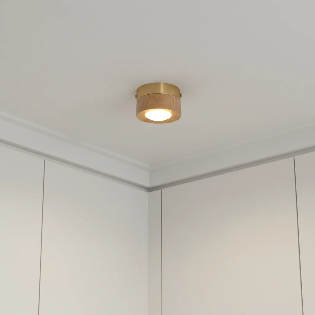 Plafonnier Rond LED : Géométrie Pure Et Lumière Uniforme