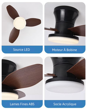 Plafonnier Ventilateur Chambre : Confort Et Fraîcheur Nocturne