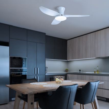 Plafonnier Ventilateur Noir : Élégance Et Performance Réunies