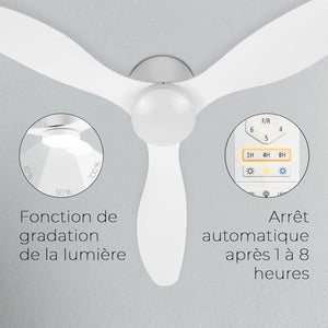 Ventilateur Plafonnier : Rafraîchissement Élégant Et Efficace