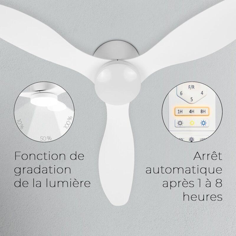 Ventilateur Plafonnier : Rafraîchissement Élégant Et Efficace