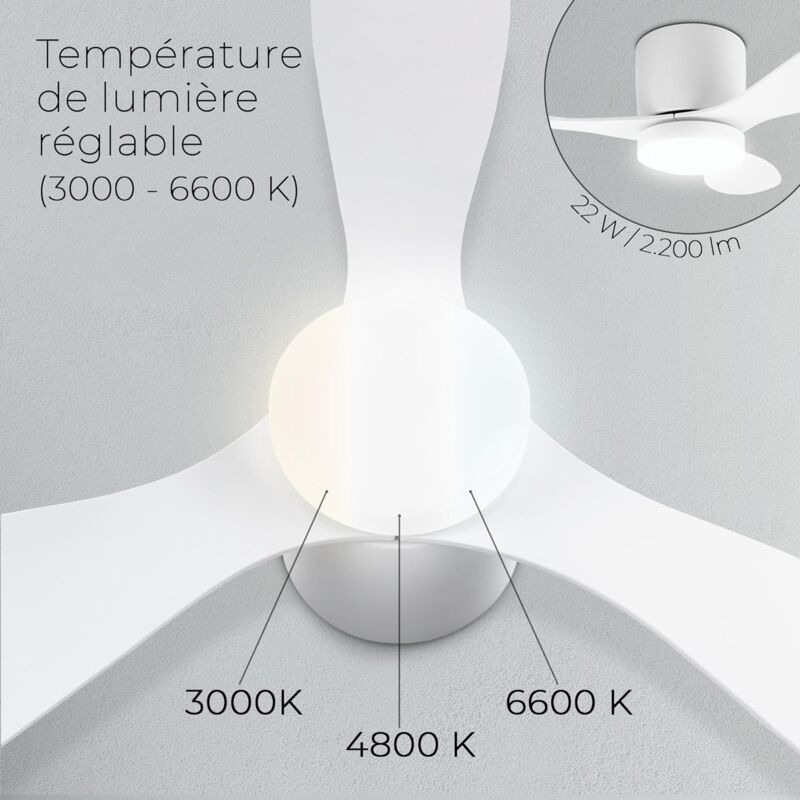 Ventilateur Plafonnier : Rafraîchissement Élégant Et Efficace