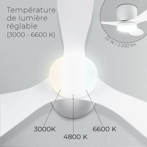 Ventilateur Plafonnier : Rafraîchissement Élégant Et Efficace